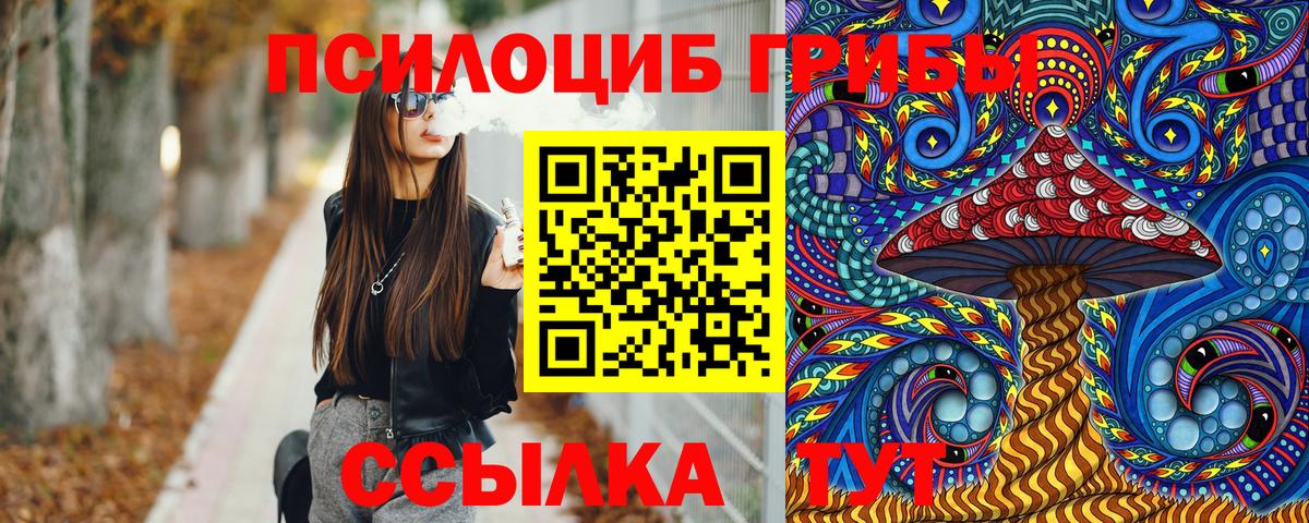 Галлюциногенные грибы Psilocybe Среднеуральск