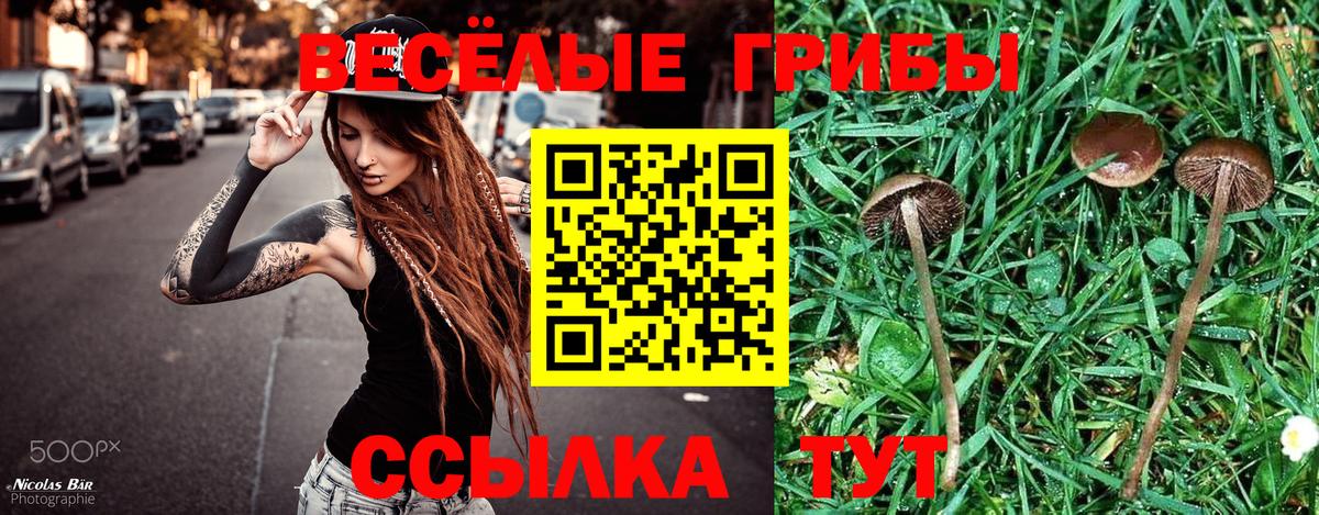 Галлюциногенные грибы MAGIC MUSHROOMS  Вход с VPN  Среднеуральск 